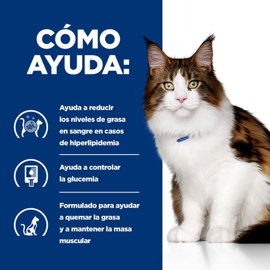 3 kg Hill's Prescription Diet Multi-Benefit Pollo pienso para gatos, , large indicador imagen numero 4